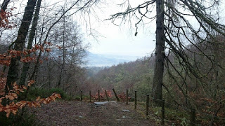 The Birks of Aberfeldy