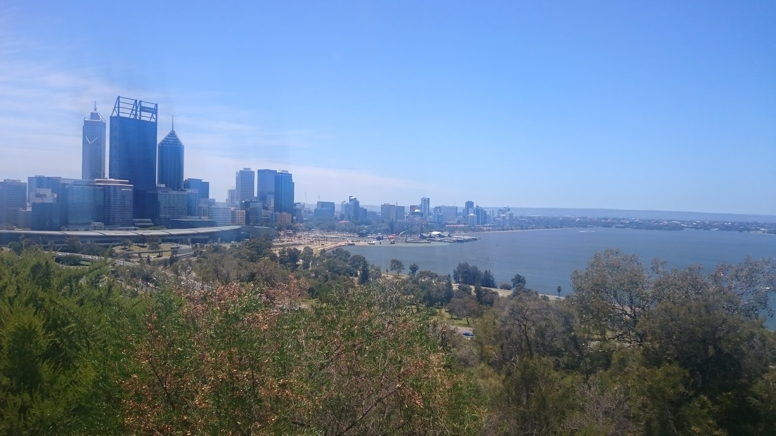 Kings Park, Perth WA