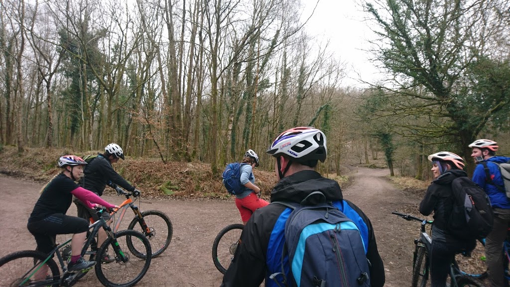 Mountain Biking in the Forest of Dean