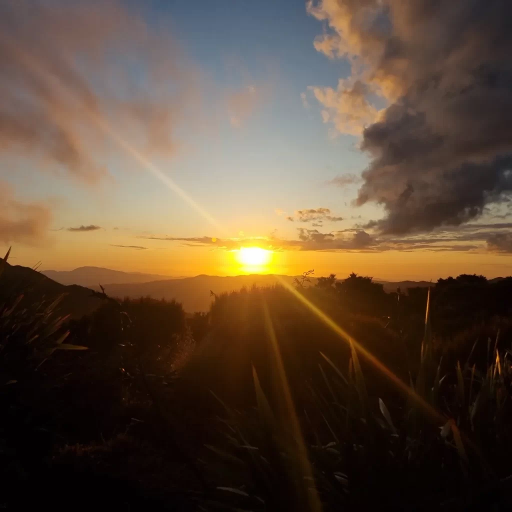 Image shows the yellow sun setting, with an orange glow, high in the Tararua mountain range on Te Araroa.