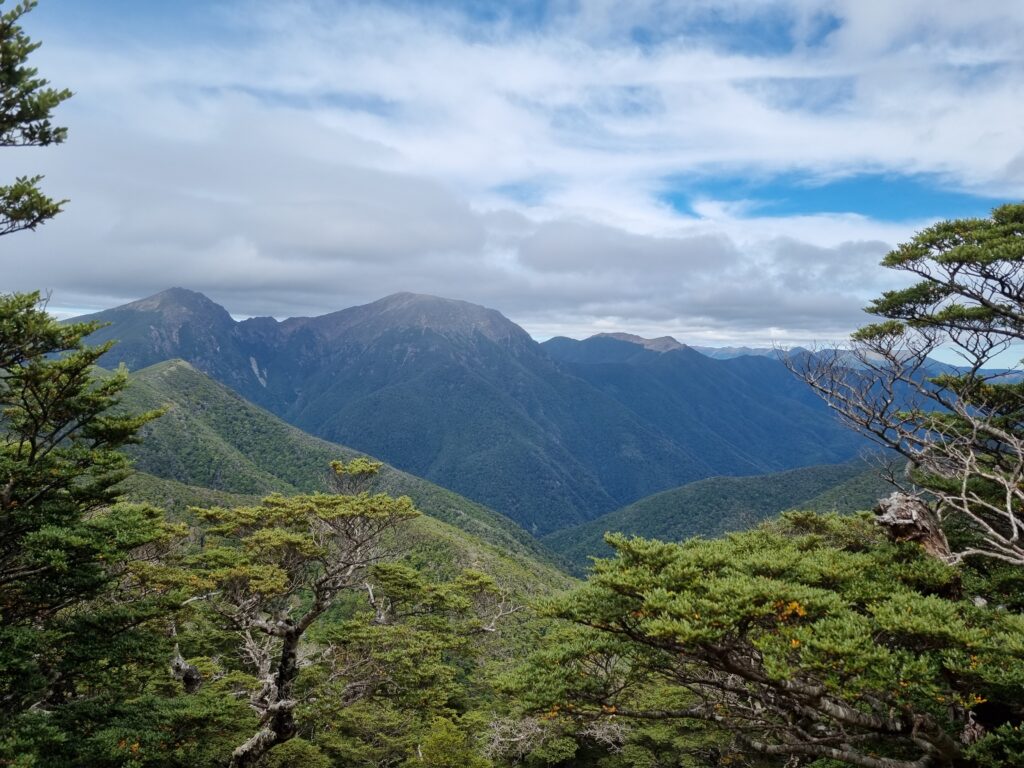 A huge mountain range is framed by closer trees.