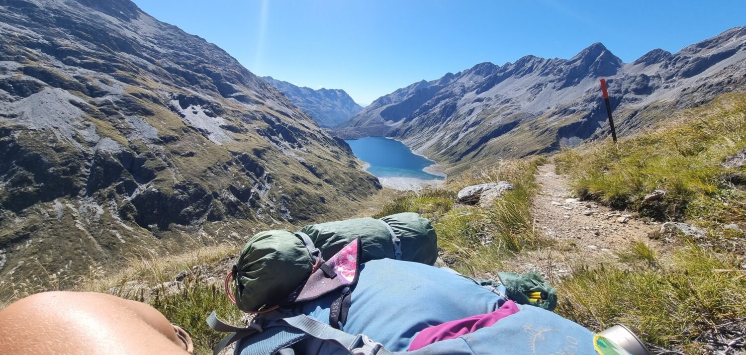 Tents, Trees and Bumble Bees